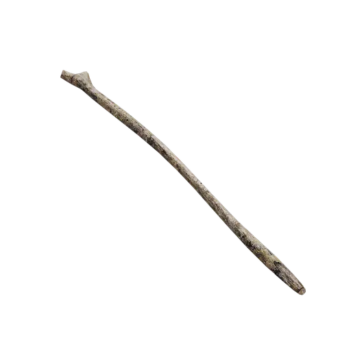 Debris and twigs