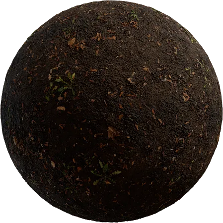 Mud Forest