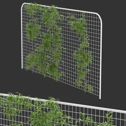 Fence Ivy Simple Plant AQ