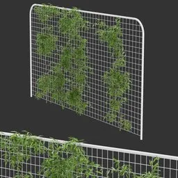 Fence Ivy Simple Plant AQ