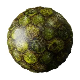 Wet Swamp Scales