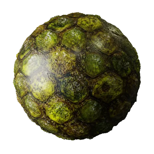 Wet Swamp Scales