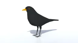 Low Poly Blackbird