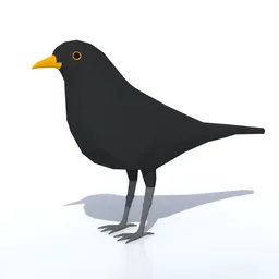 Low Poly Blackbird