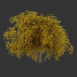 Bush Autumn Plant