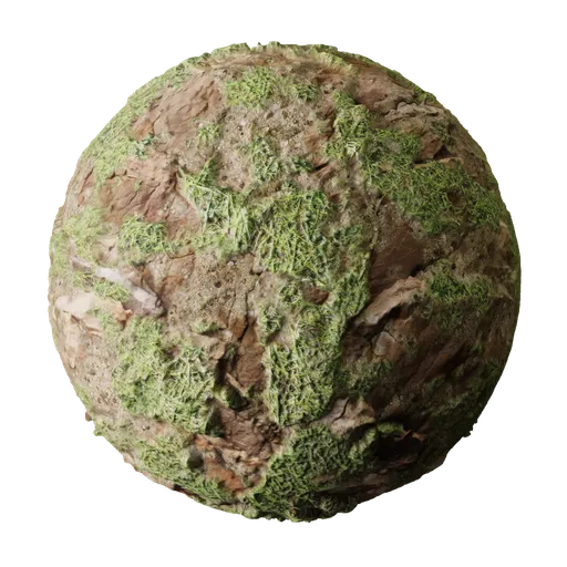 Rock with Grass