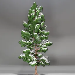 Snow Pine Toon Tree