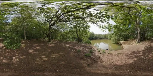 Epping Forest 01