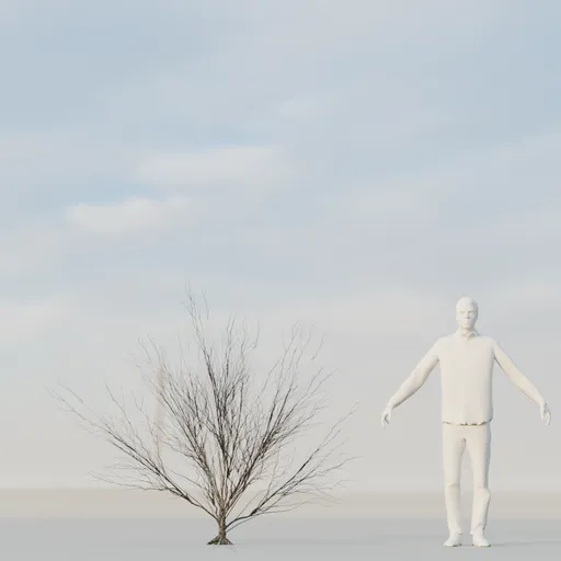 Dry Bush Low Poly