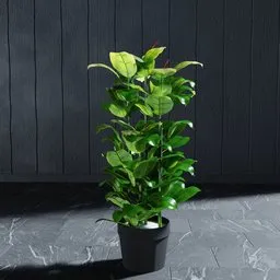 "Artificial mini Fig tree 3D model for Blender 3D with linked copy objects. Modify plant easily by rotating or deleting leaves to fit your scene. Realistic rendition with green foliage suitable for various settings."