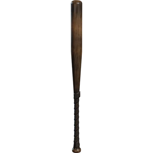 Baseball Bat