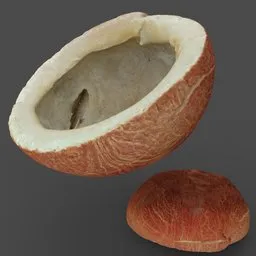 Coconut