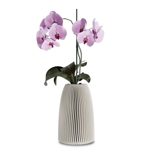Parabolic vase
