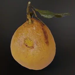 Mandarin Orange - Photo Scan