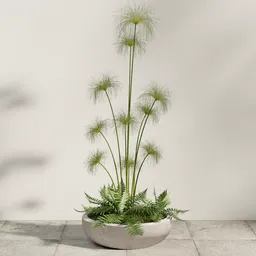 Papyrus Grass Planter