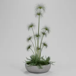 Papyrus Grass Planter