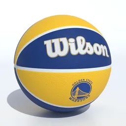 Wilson Golden State Basketball