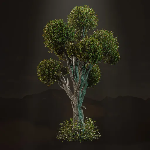 Big mort tree