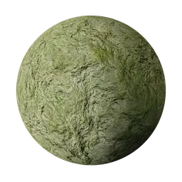 Procedural Algae