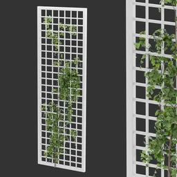 Simple Grid Ivy Plant AQ