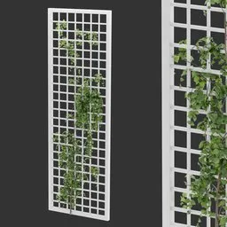 Simple Grid Ivy Plant