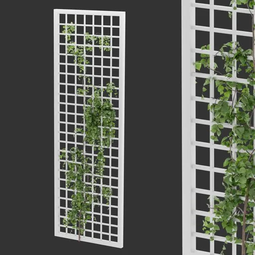 Simple Grid Ivy Plant
