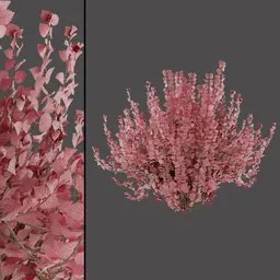 Pink Floral Stems