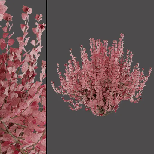 Pink Floral Stems