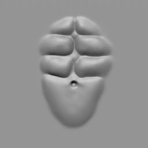 ER_Muscle brush 23