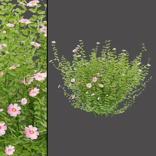 Pink Bloom Shrub