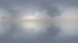 Muted Overcast Sky Reflection