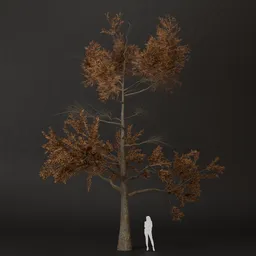 SJ-Hazy Fall Pine Tree