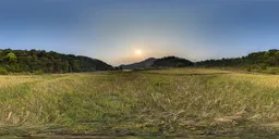 Green farmland at sunset