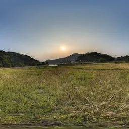 Green farmland at sunset