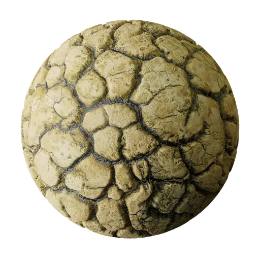 Dry cracked ground