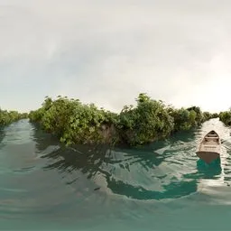 Mangrove River Boat