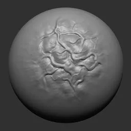 NS Veins infected round