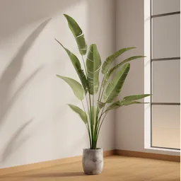 Tropical Grace in Marble Pot