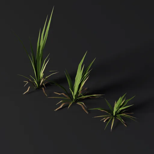 GrassBushe