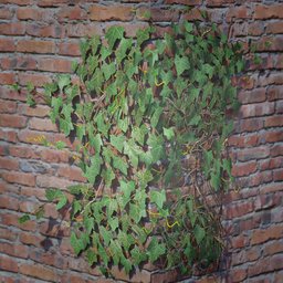 Ivy Creeper Wall Corner 1M 02