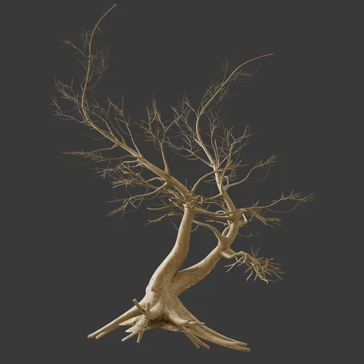 Dry Tree