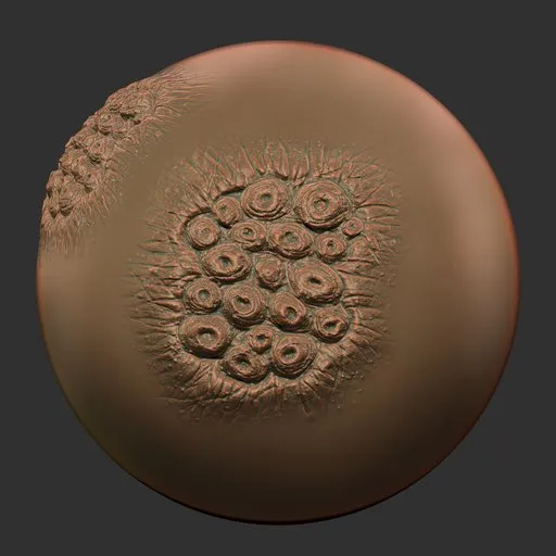 ER_Mutant Brush 18