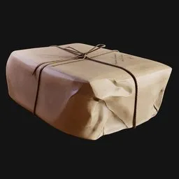 Brown Paper Package with String