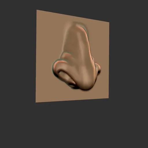 ER Nose Brush 12