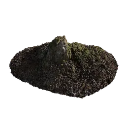 Mossy Stump