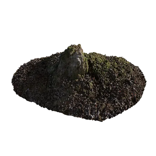 Mossy Stump