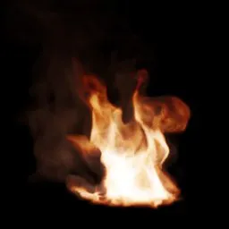 Camp Fire Looping VDB
