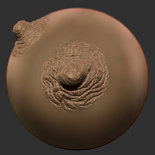ER_Human Skin(Q) 76