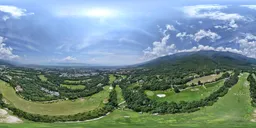 Green forest grass cloud