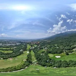 Green forest grass cloud